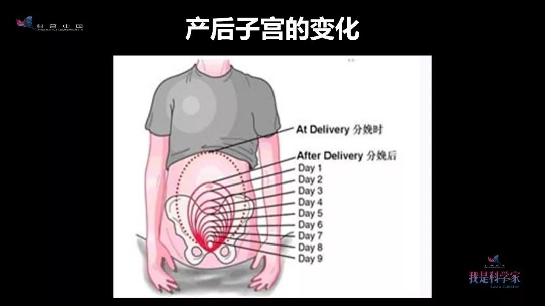 所谓产褥期,是指胎盘娩出以后,除乳腺外身体各器官恢复到怀孕前状态