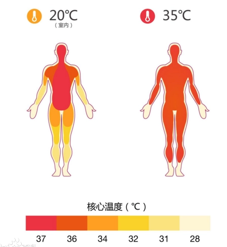 正常体温范围人体图片