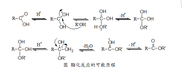 酯化反应的化学方程式图片