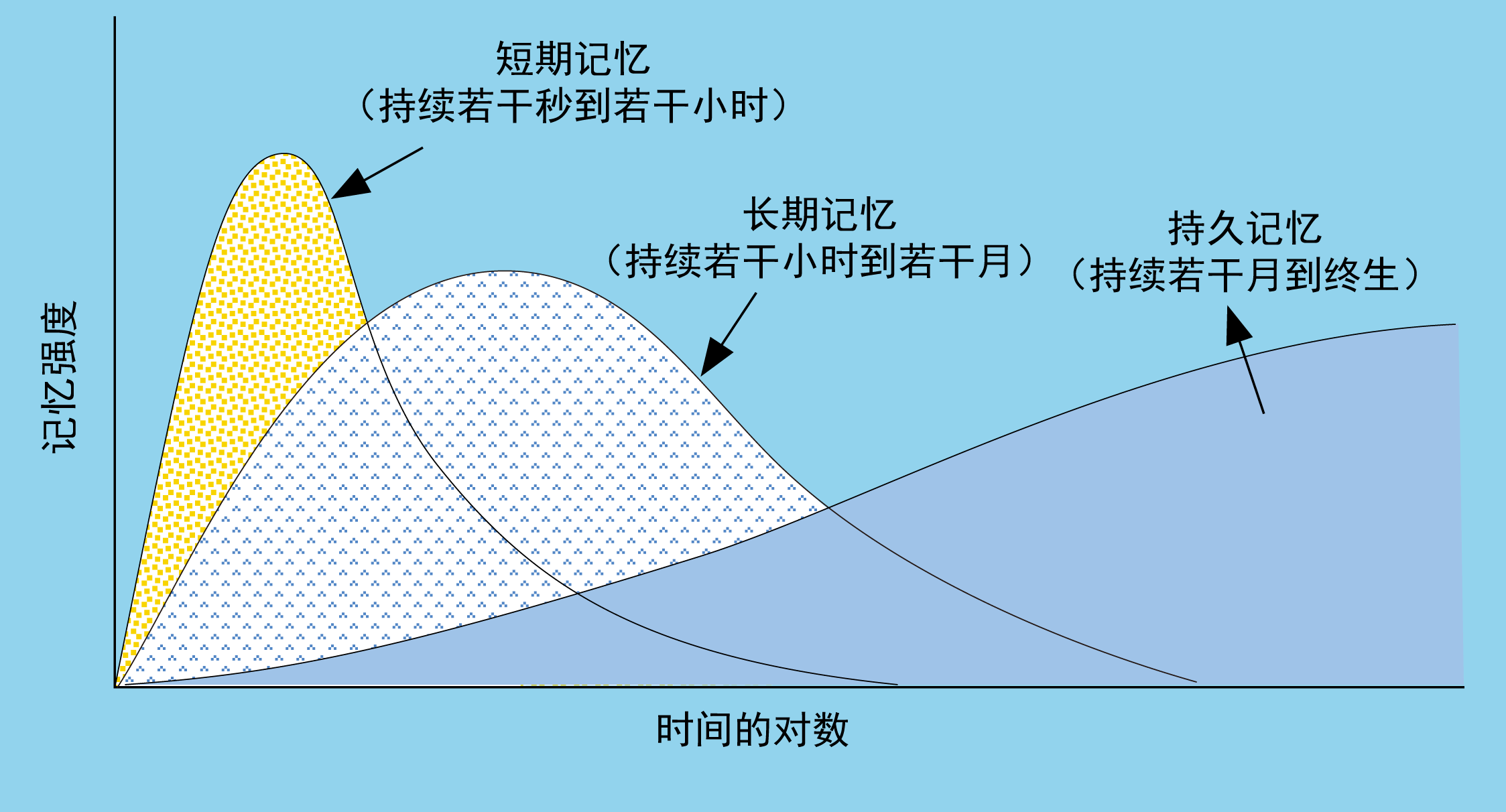 课文总是记不住 科学家揭示记忆里的平行宇宙