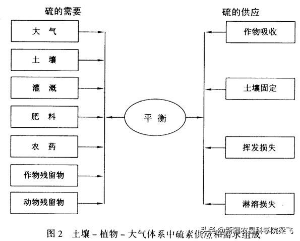 镁在滴灌棉花中的作用，如何在防治滴灌棉花的缺镁症