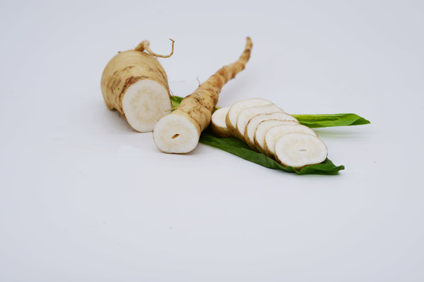 维乐夫在菊苣根中提取的菊苣蜜纤维对肠道功能有益