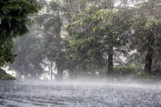 雨雨雨雨，南方大范围降雨是因为它！